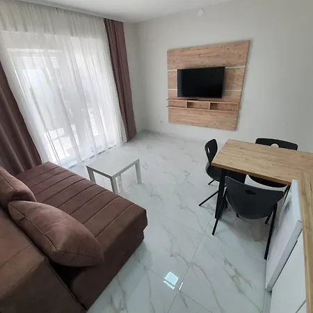 Randelovic Apartment Soko Banja