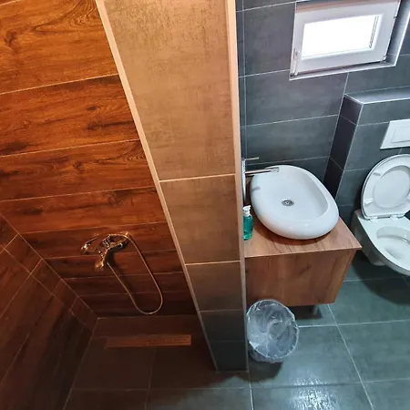 Apartment Randelovic Soko Banja