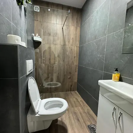 Randelovic Apartment Soko Banja