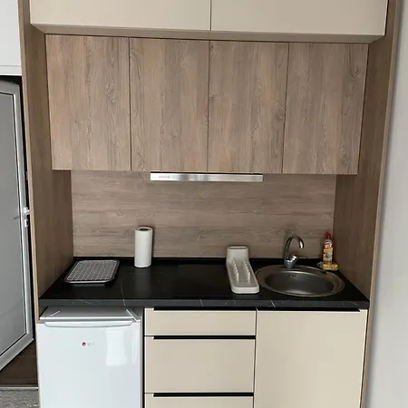 Randelovic Apartment Soko Banja