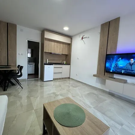 Randelovic Apartment Soko Banja